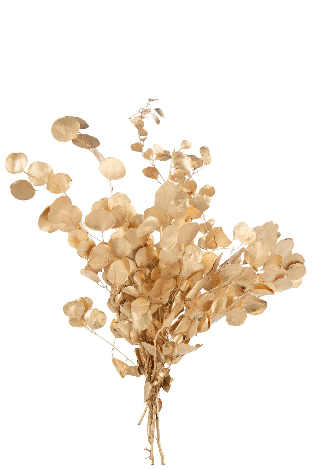 J-Line decoratietak Euclyptus Droogte bloemen - ride - goud