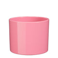 Era pot rond roze