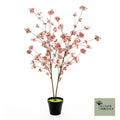 Prunus Malaga tree old pink 165cm