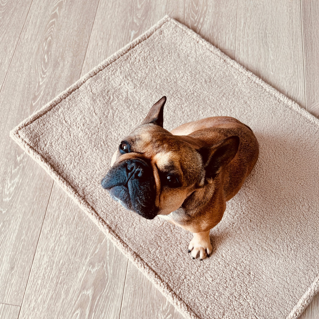 Teddy reis- en outdoordeken voor honden