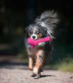 Franzi Flamingo - cultspeelgoed voor honden