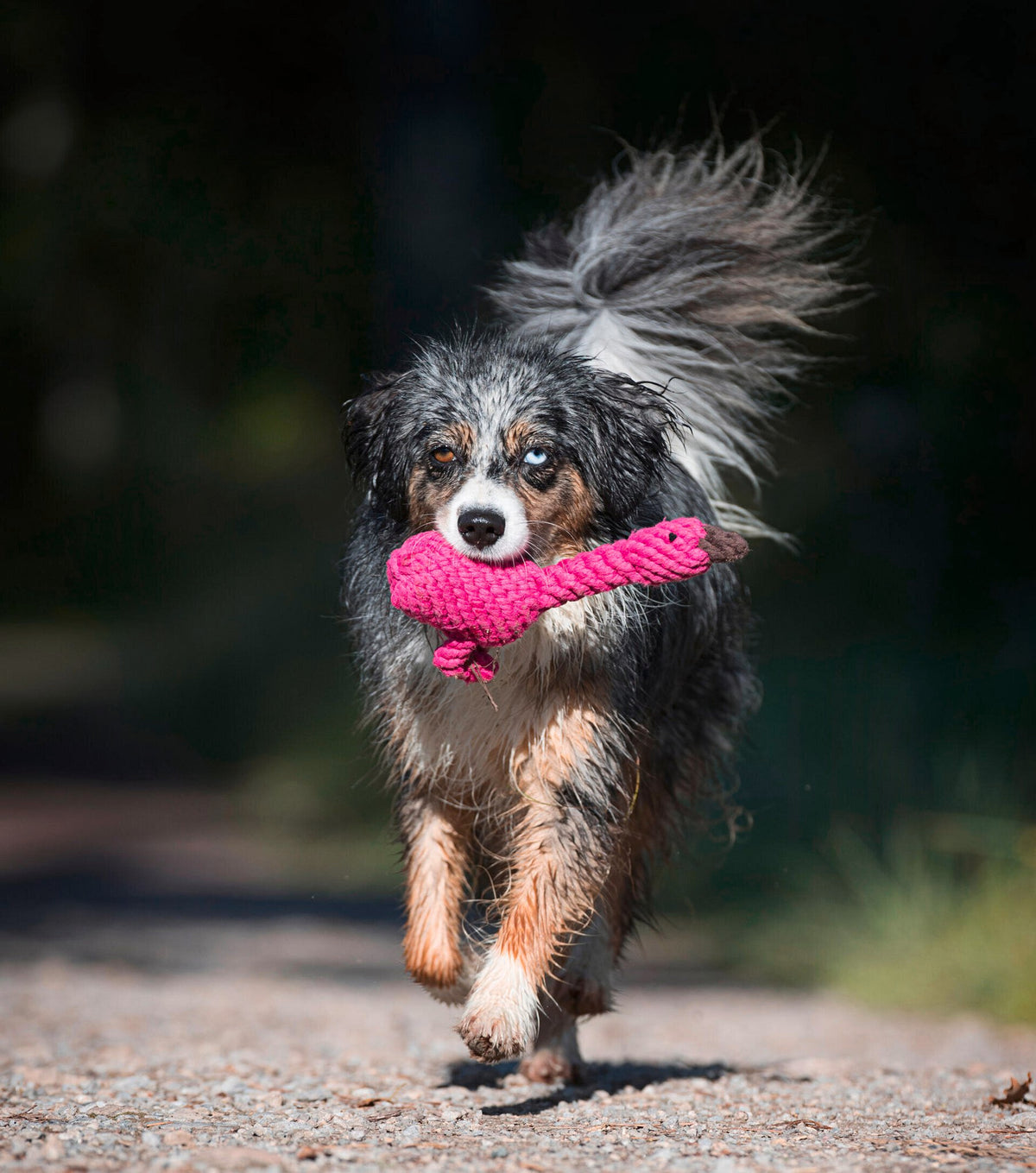 Franzi Flamingo - cultspeelgoed voor honden