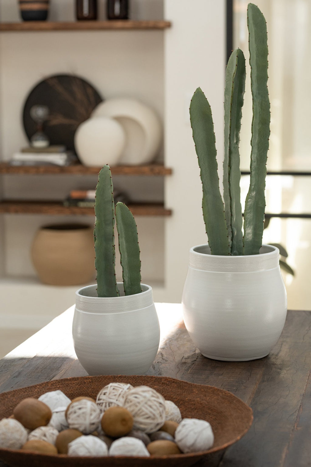 J-Line Cactus 3 Stuks In Pot Kunststof Groen Klein