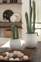J-Line Cactus 3 Stuks In Pot Kunststof Groen Klein