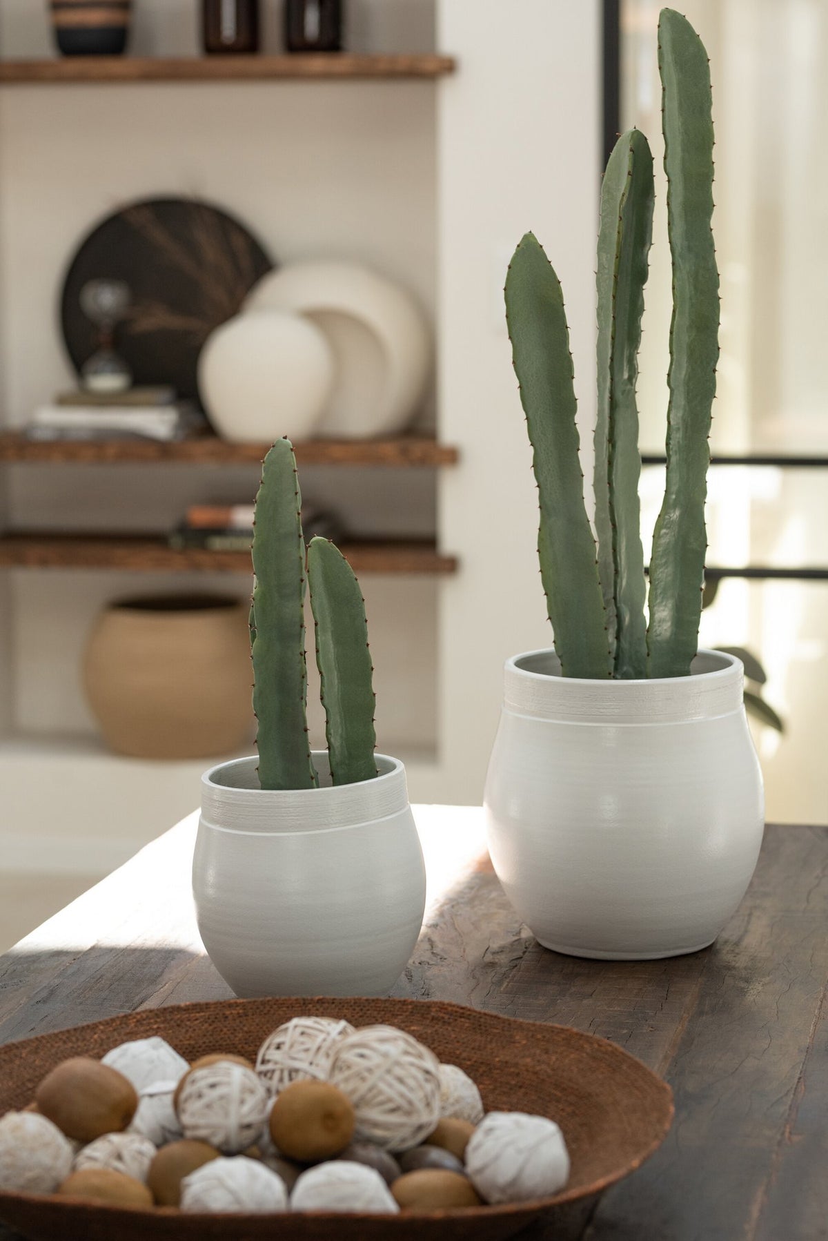 J-Line Cactus 3 Stuks In Pot Kunststof Groen Klein