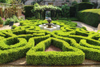Tuin als God in Engeland. De slimme trucs van Britse tuiniers