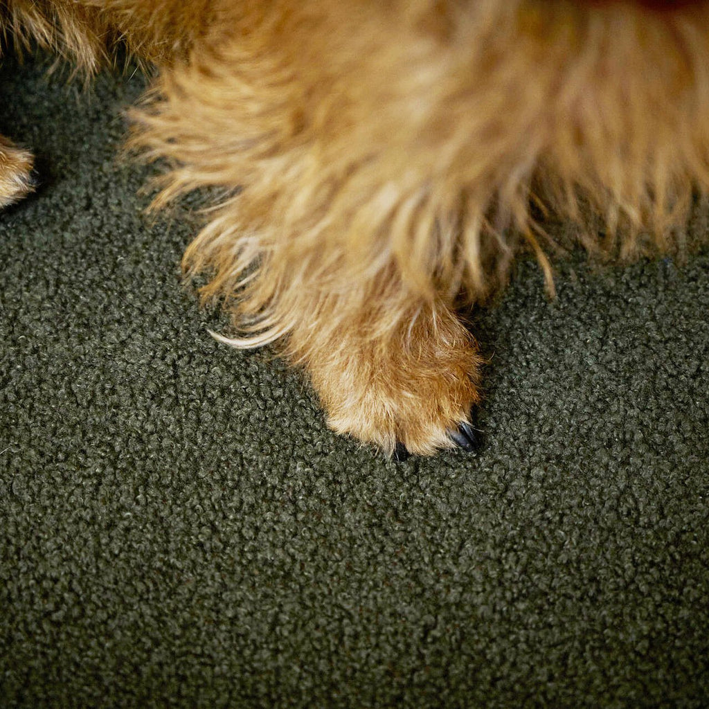 Teddy I Klassiek Hundebett
