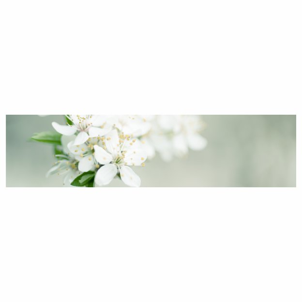 Rouwkaart - Lang "Bloem wit" Blanco - 20 Stuks
