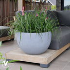 Plantenpot - Louisiana grey OP = OP