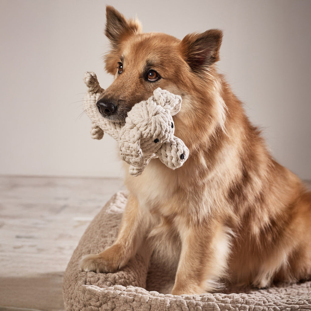 Richie Retriever - cultspeelgoed voor honden