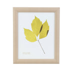 Fotolijst Renabie Crème 24x29 cm