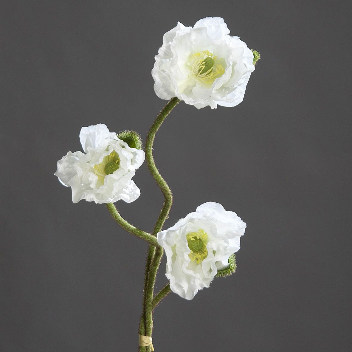 Kunst Klaproos bundel 3st 72cm creme