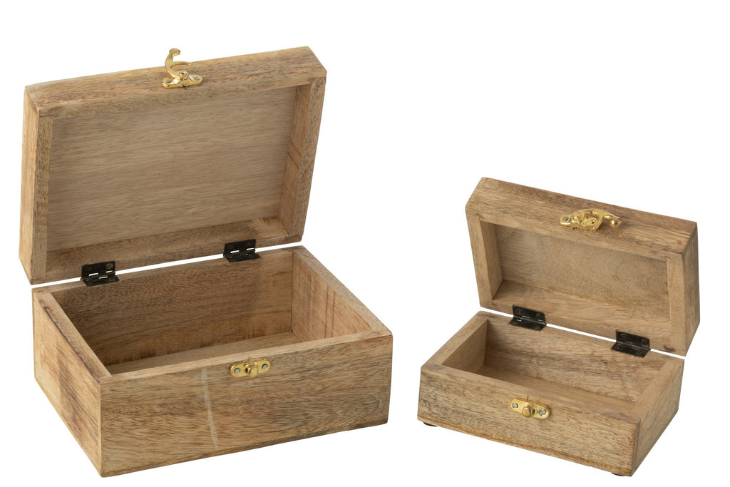 J-Line Set Van 2 Dozen Hart Mangohout Rood