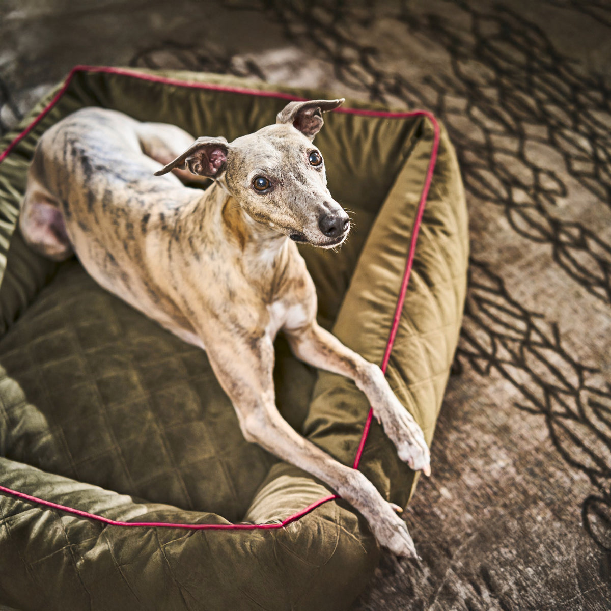 Oxford I Klassieke Hundebett