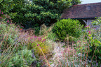 Ik droom van een cottage-tuin. Verliefd op delphiniums, phlox & vingerhoedskruid