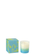 J-Line geurkaars Oasis - Spring Ivy & Neroli - poly - blauw/groen - S