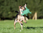 Tina Turtle - cultspeelgoed voor honden