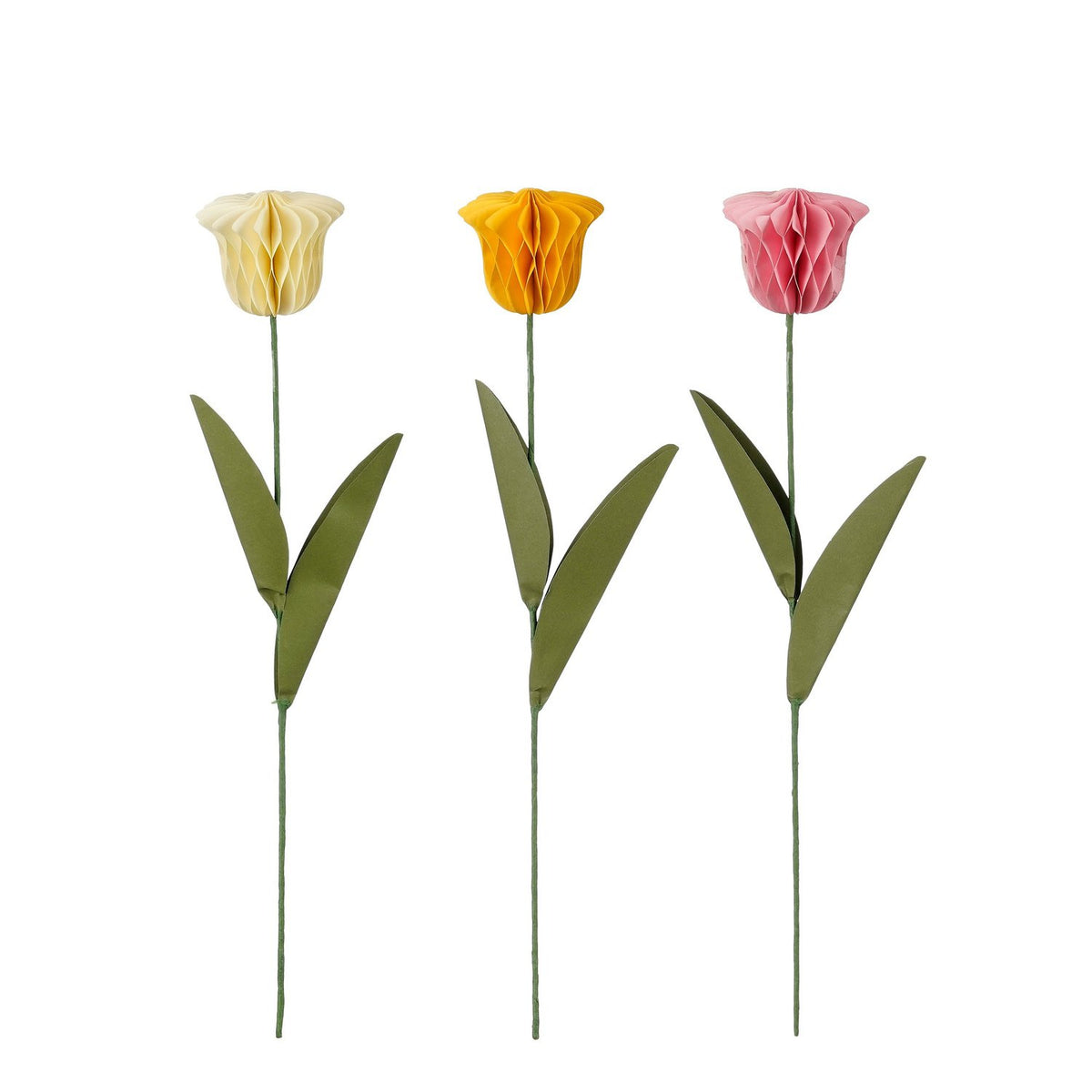 Bijsteker tulp wit geel roze 3 assorti