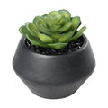 Kunstplant Yulara Groen 12x12x11 cm