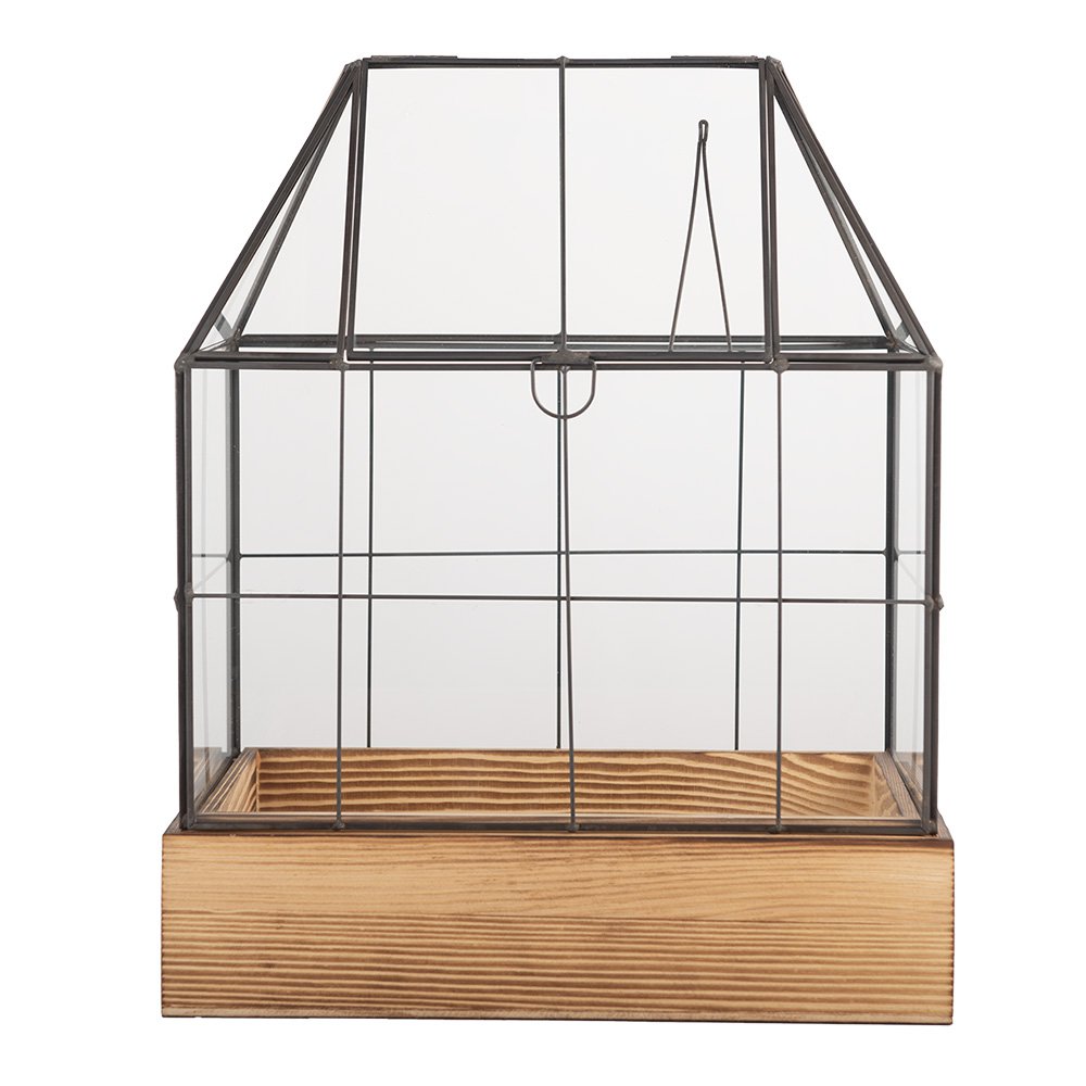 Decoratie KweekKastje 26x17x32 cm transparant Glas