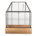 Decoratie KweekKastje 26x17x32 cm transparant Glas