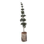 Mini Kunstkerstboom 15x15x80 cm Groen Hout