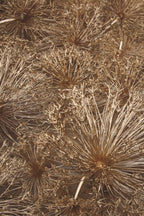 Bloemen in potten