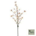 Prunus Malaga spuitbeige 195cm