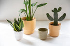Lodi pot mat perzik