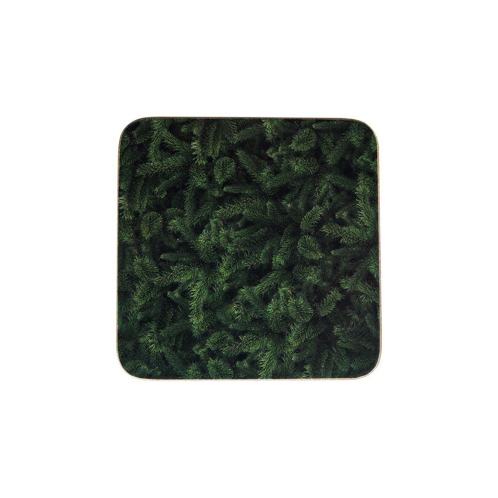 Onderzetter dennentakken 10x10cm (6)*