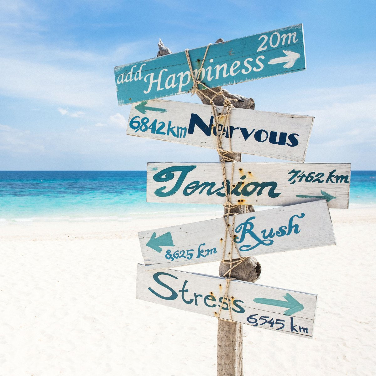 Happiness Outdoor Schilderij fotoprint 75x75x2,5 cm