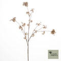 FD Prunus Malaga spuitgrijs 126cm