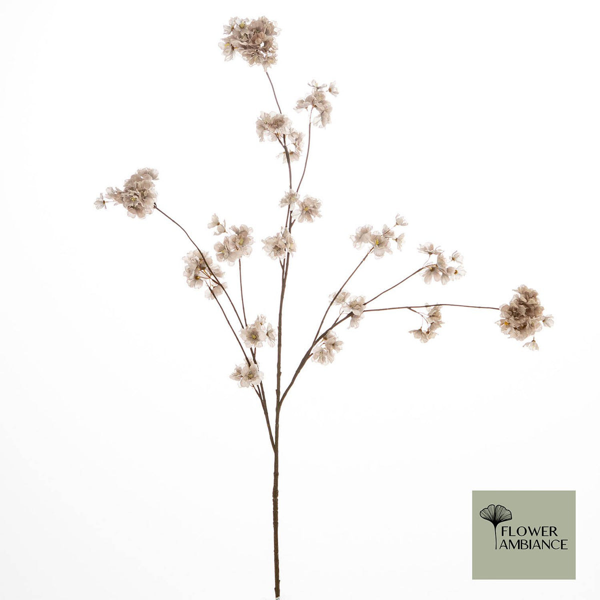 FD Prunus Malaga spuitgrijs 126cm