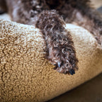 Teddy I Klassiek Hundebett