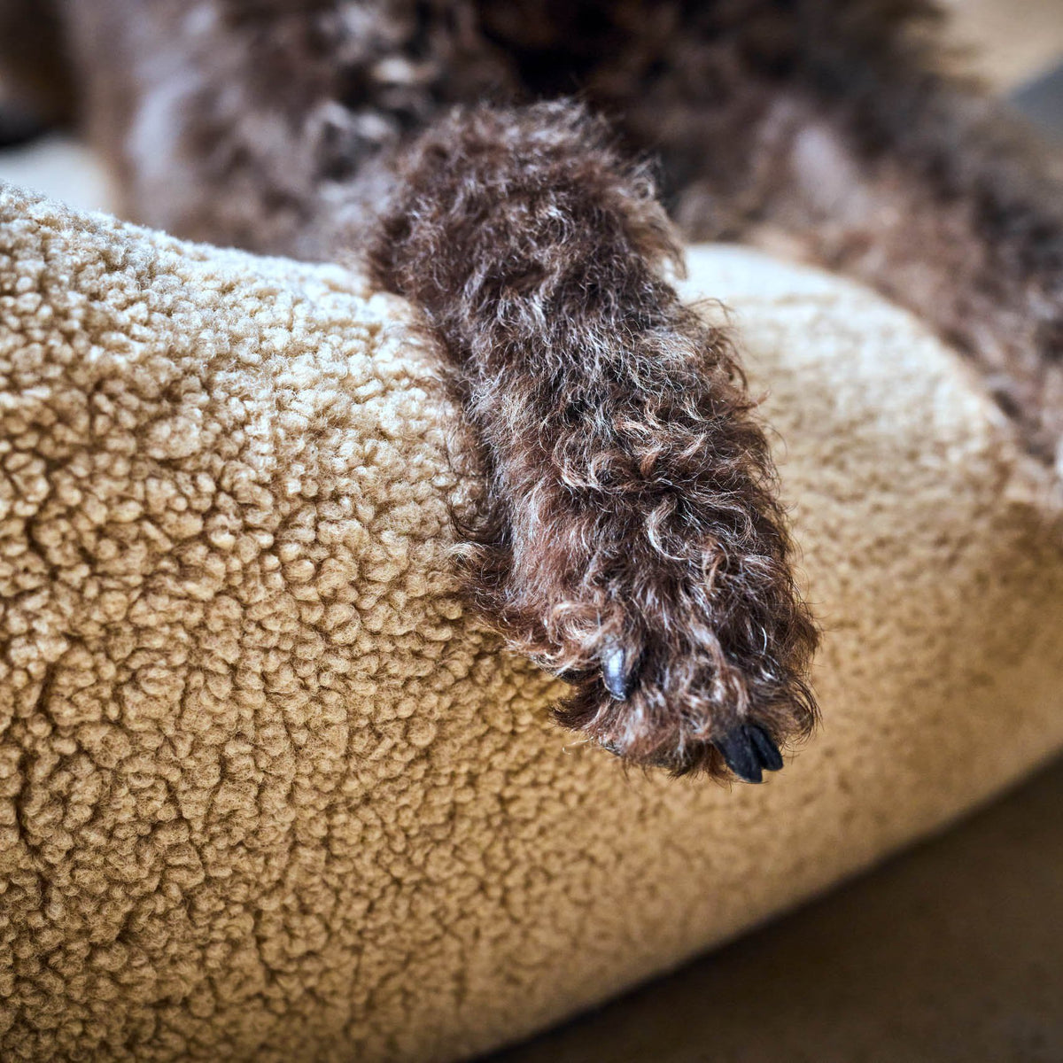 Teddy I Klassiek Hundebett