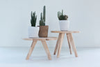 Fondo plantentafel naturel