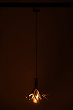 J-Line Plafondlamp met gewei - polyresin - lichtbeige - small