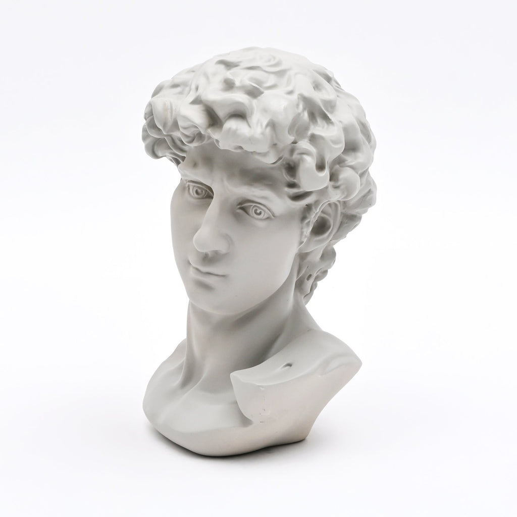 Witte David Bust Sculpture Michelangelo Geïnspireerd Klassiek Standbeeld voor Home Decor