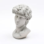 Witte David Bust Sculpture Michelangelo Geïnspireerd Klassiek Standbeeld voor Home Decor