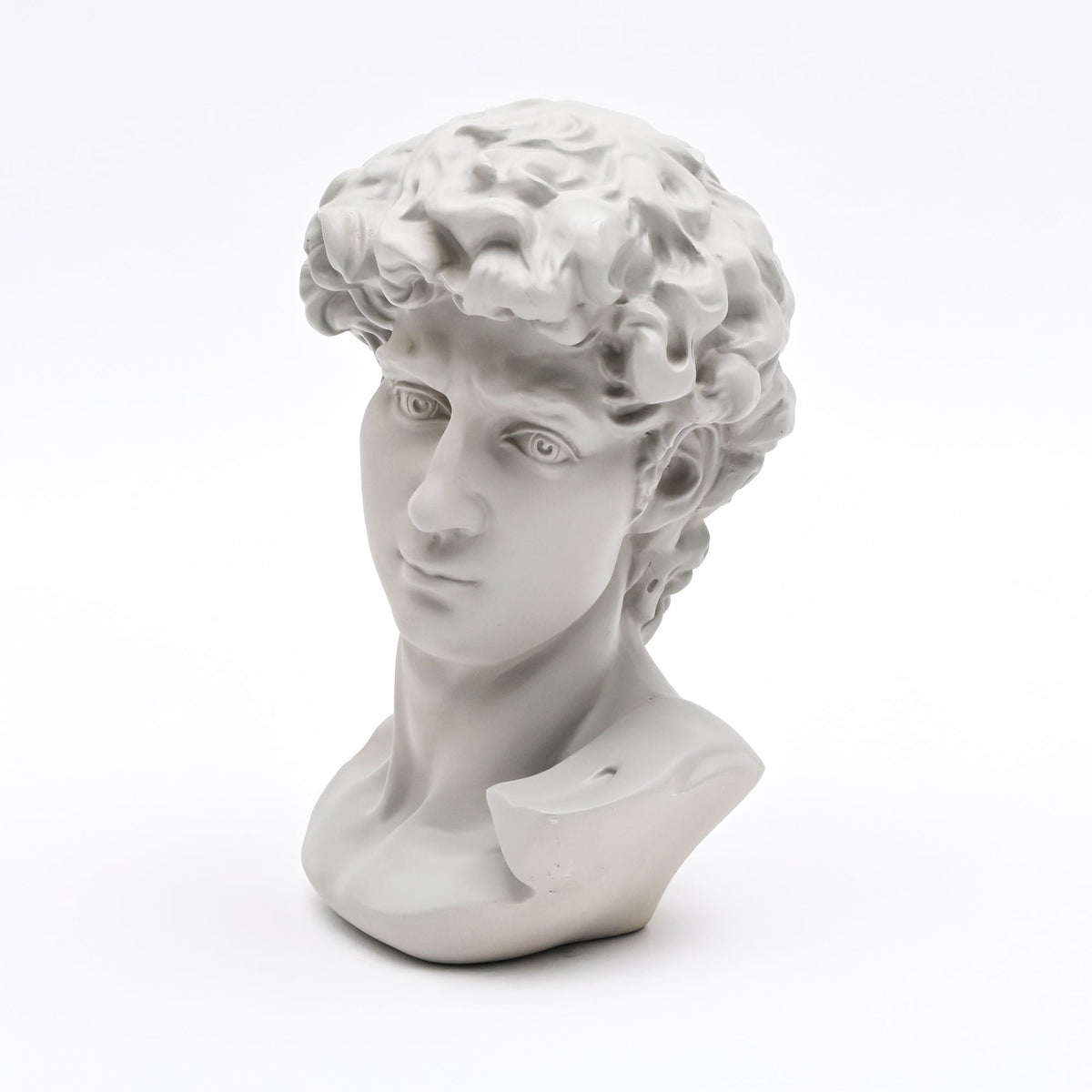 Witte David Bust Sculpture Michelangelo Geïnspireerd Klassiek Standbeeld voor Home Decor