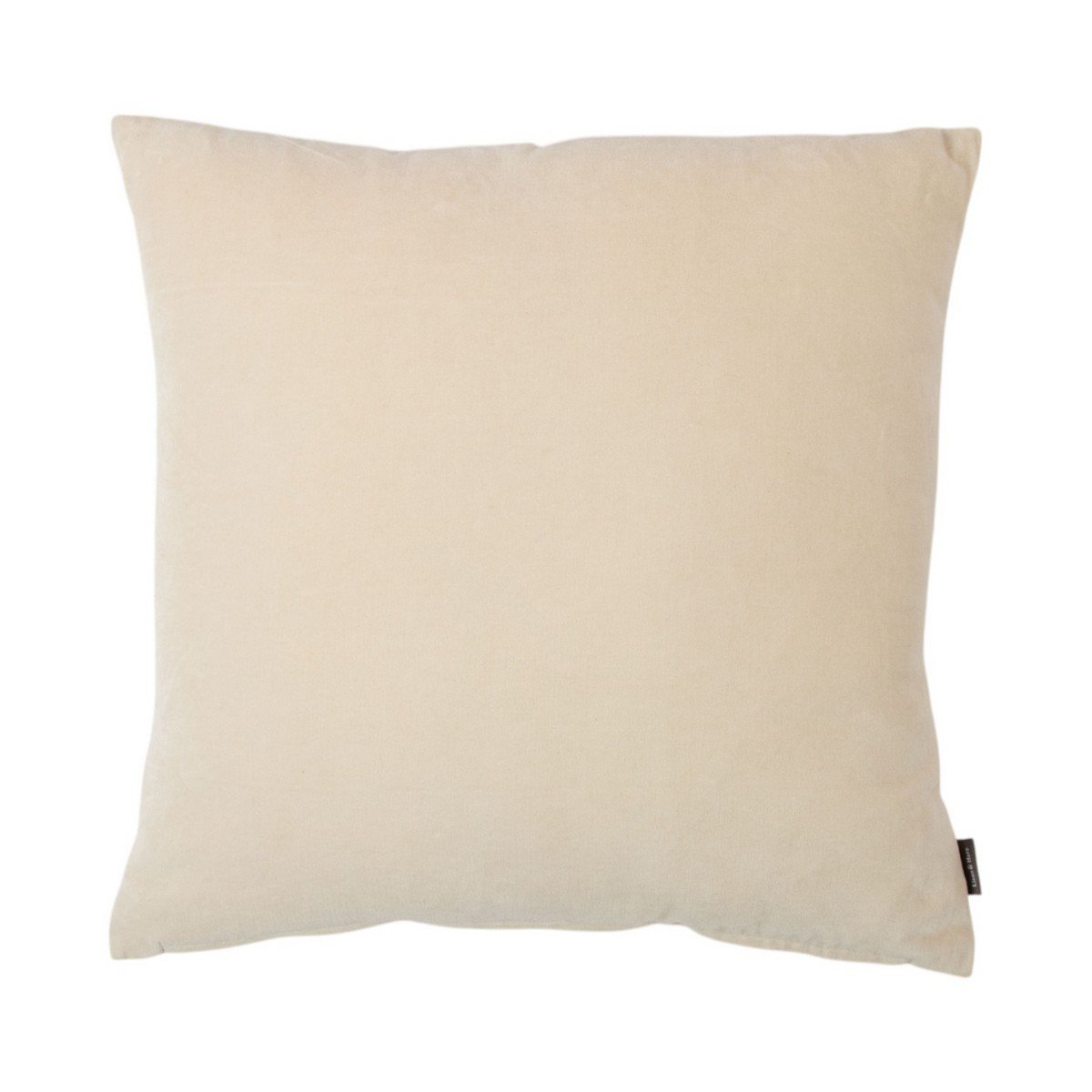 Massief fluweel berkenkussen 45x45 cm