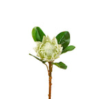 Protea kunstmatige zachte aanraking 40 cm - wit - speciale deal!