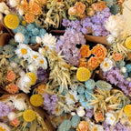 Gedroogde bloemenmarkt Meer - Pastel Delight