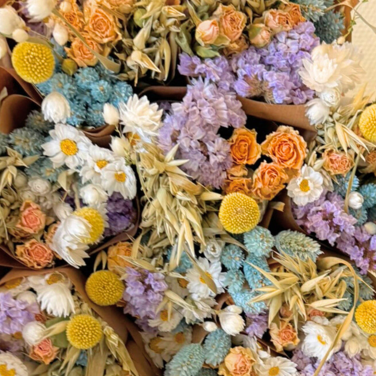Gedroogde bloemenmarkt Meer - Pastel Delight