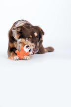 Timothy Tiger - cultspeelgoed voor honden