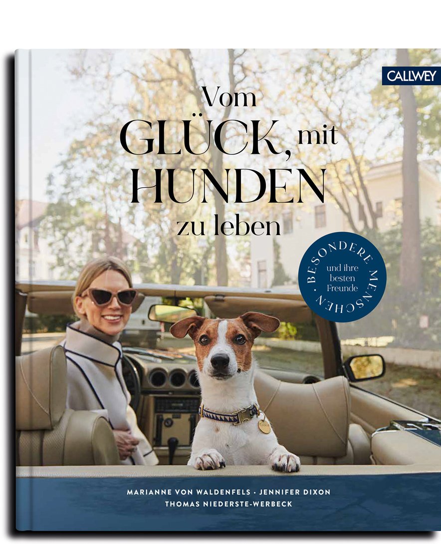 Gelukkig om met honden te leven