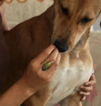 Papier-maché Ring-Kever-Metallic Zwart
