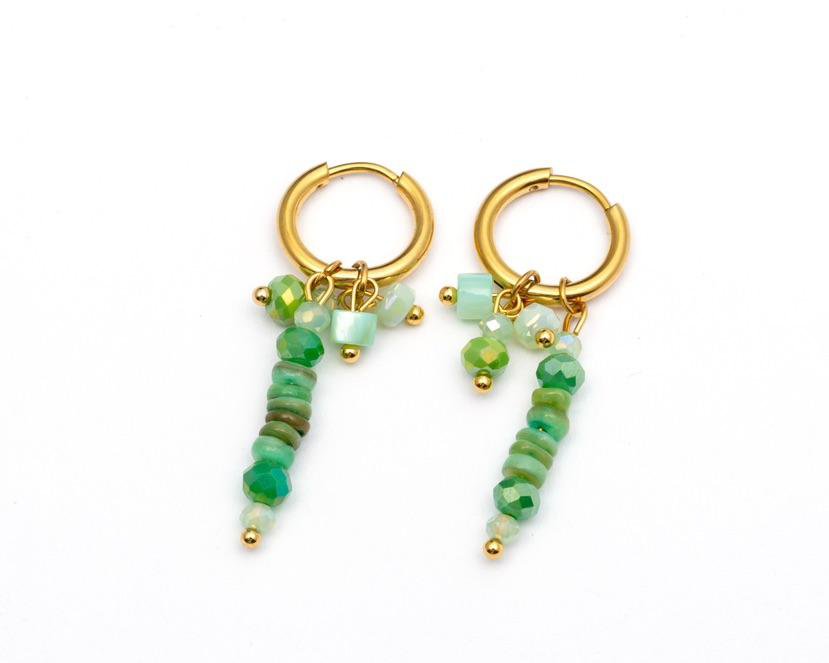 Oorbellen WAUW Jewellery 0500092499