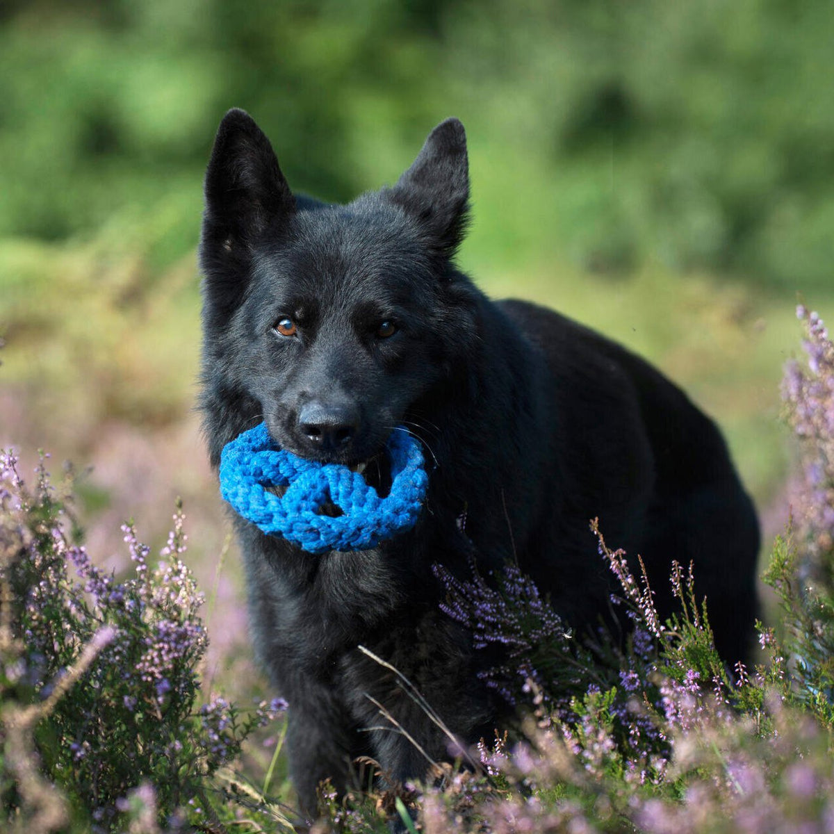 Paula & Paulchen Peace - cultspeelgoed voor honden