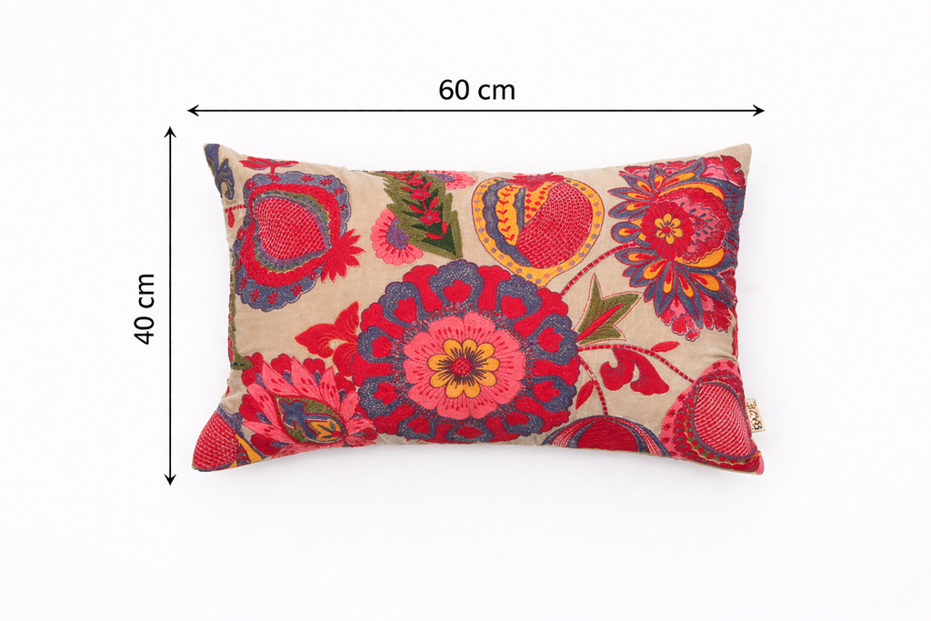 Boho geborduurd katoen - Fluwelen lendenkussen - 40 x 60 cm